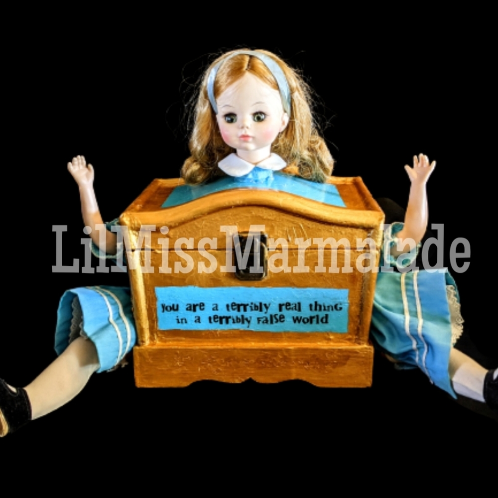 Alice in Wonderland Altered Eat Me Doll Box